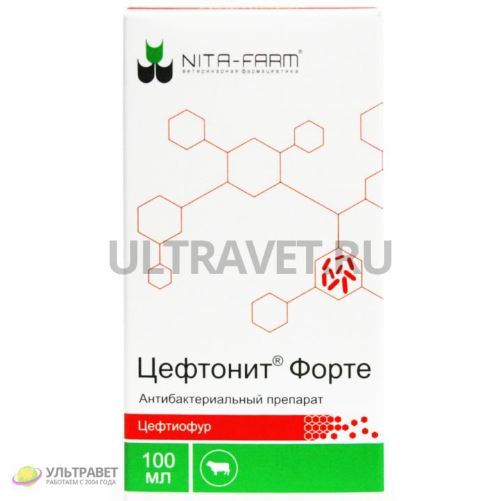 Цефтонит Форте: инструкция по применению, цена - 9 263 руб.